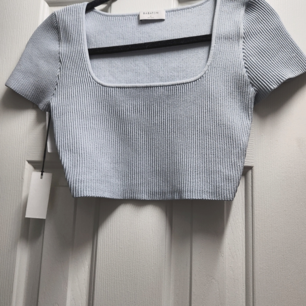 Aritzia Cropt Top